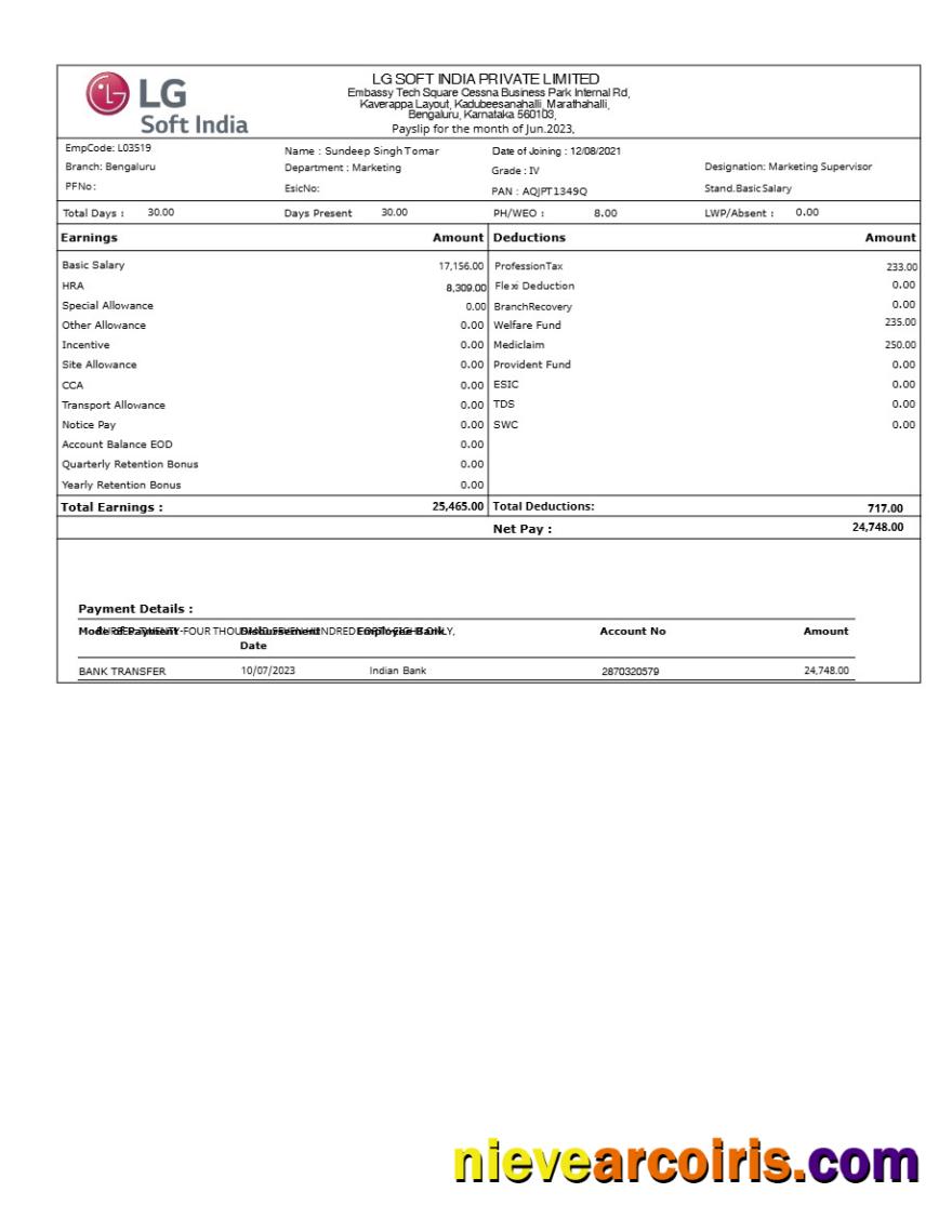 LG Soft India payslip